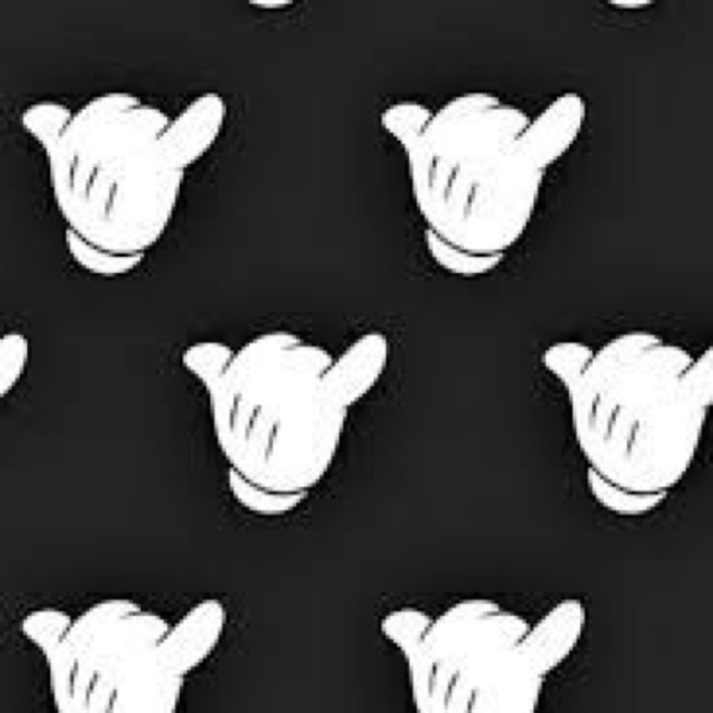 Meet your Posher, Raven